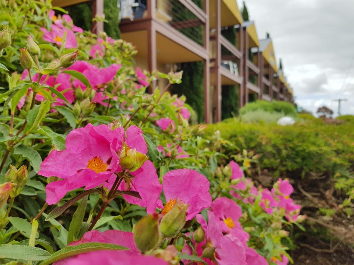 Seaview Motel & Apartments Apollo Bay Buitenkant foto